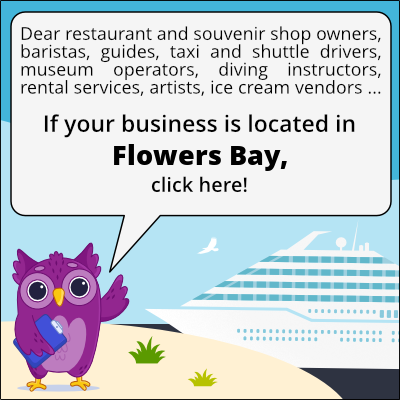 to business owners in Baie des Fleurs