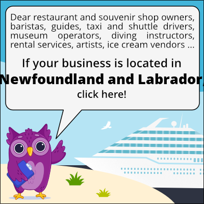 to business owners in Terre-Neuve-et-Labrador