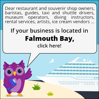 to business owners in Baie de Falmouth