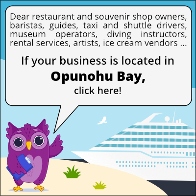 to business owners in Baie d'Opunohu